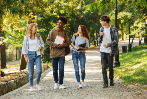 What Makes a “New Ivy”? Key Factors That Define Top Emerging Colleges